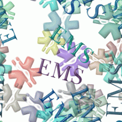 EMS Graphics / Logos